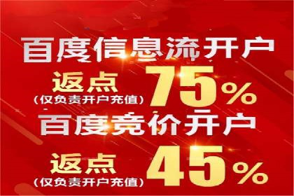 SEM代理助力品牌：案例解析，优化策略全揭秘